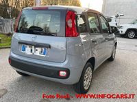 usata Fiat Panda 1.2 69CV NEOPATENTATI - PRONTA CONSEGNA - POCHI KM