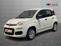 Usata Fiat Panda Easy 69 CV (50 kW) 2020 Bianco Berlina