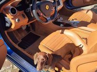 Usata Ferrari California 460 CV (338 kW) 2011 Cabrio