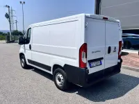 Usata Fiat Ducato 120 CV (88 kW) 2020 Bianco Furgone