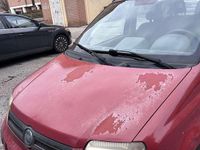 Usata Fiat Panda Dynamic 60 CV (44 kW) 2004 Utilitaria