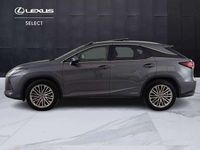 Usata Lexus RX450h Luxury Line 262 CV (192 kW) 2020 Grigio SUV