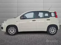Usata Fiat Panda Easy 69 CV (50 kW) 2020 Bianco Utilitaria