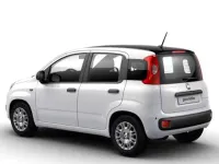 Nuova Fiat Panda Icon 70 CV (51 kW) 2025 Bianco Utilitaria
