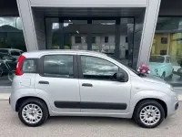 Usata Fiat Panda Easy 69 CV (50 kW) 2017 Argento Utilitaria