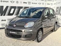 Usata Fiat Panda S 69 CV (50 kW) 2022 Grigio Utilitaria