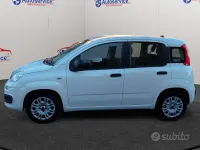 Usata Fiat Panda Easy 69 CV (50 kW) 2020 Bianco Utilitaria