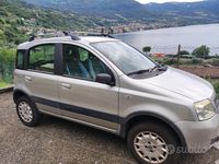 Usata Fiat Panda 4x4 60 CV (44 kW) 2007 Grigio Utilitaria