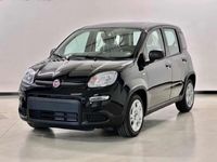 usata Fiat Panda Cross 1.0 FireFly S&S Hybrid City nuova a Bassano del Grappa