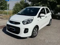 Usata Kia Picanto Active 65 CV (47 kW) 2016 Bianco Utilitaria