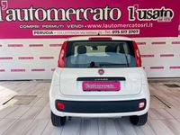 Usata Fiat Panda Easy 84 CV (61 kW) 2018 Bianco Utilitaria