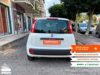Usata Fiat Panda Easy 69 CV (50 kW) 2019 Utilitaria