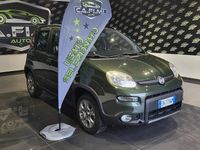 Usata Fiat Panda 4x4 75 CV (55 kW) 2013 Verde Utilitaria