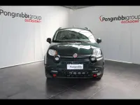 Usata Fiat Panda Cross Cross 69 CV (50 kW) 2023 Verde Utilitaria