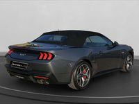 Usata Ford V8 Convertible 446 CV (328 kW) 2024 Grigio Cabrio