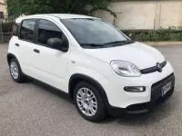 Usata Fiat Panda City Life 69 CV (50 kW) 2023 Bianco pastello Utilitaria