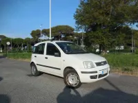 Usata Fiat Panda Dynamic 60 CV (44 kW) 2009 Bianco Utilitaria