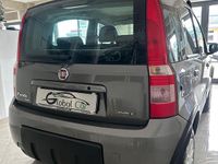 Usata Fiat Panda 4x4 69 CV (50 kW) 2008 Gray Utilitaria