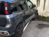 Usata Fiat Panda Cross Cross 95 CV (69 kW) 2016 Utilitaria