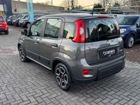 usata Fiat Panda 1.0 FireFly S&S Hybrid City Life