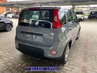 usata Fiat Panda 1.0 PROMO FIN. 1.0 FireFly S&S Hybrid MY 23 KM 0