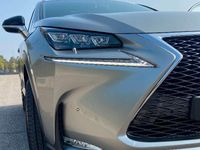 usata Lexus NX300 hybrid f-sport anno 2017