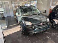 Nuova Fiat Panda S 69 CV (50 kW) 2026 Verde foresta Utilitaria