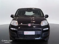 Usata Fiat Panda Pop 70 CV (51 kW) 2025 Nero Utilitaria