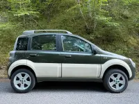 Usata Fiat Panda 4x4 Cross 69 CV (50 kW) 2006 Utilitaria