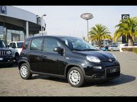 Gebraucht Fiat Panda S 70 PS (51 kW) 2024 Schwarz Kleinwagen