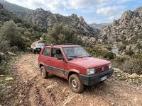 Usata Fiat Panda 4x4 Trekking 2002 Rosso Utilitaria