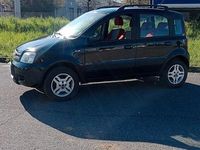 Usata Fiat Panda 4x4 60 CV (44 kW) 2006 Nero Utilitaria