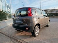 usata Fiat Panda 4x4 0.9 TwinAir Turbo S&S usato