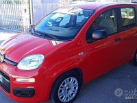 Usata Fiat Panda S 70 CV (51 kW) 2021 Rosso Utilitaria
