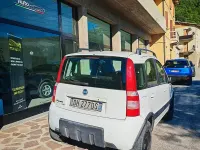 Usata Fiat Panda 4x4 60 CV (44 kW) 2007 Utilitaria