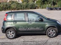 Usata Fiat Panda 4x4 S 80 CV (58 kW) 2016 Verde Utilitaria