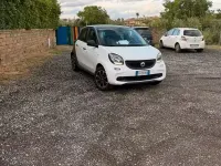 Usata Smart ForFour 71 CV (52 kW) 2017 Bianco Utilitaria