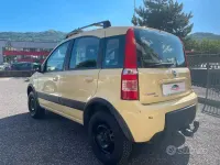 Usata Fiat Panda 4x4 60 CV (44 kW) 2005 Giallo Utilitaria