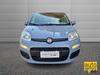 Usata Fiat Panda Easy 95 CV (69 kW) 2017 Grigio Utilitaria