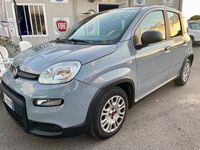 Usata Fiat Panda Red 69 CV (50 kW) 2023 Grigio Utilitaria