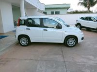 usata Fiat Panda 1.2 Easy