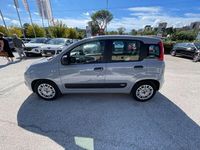 Usata Fiat Panda Easy 70 CV (51 kW) 2020 Grigio Utilitaria