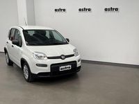Nuova Fiat Panda S 69 CV (50 kW) 2025 Bianco Utilitaria