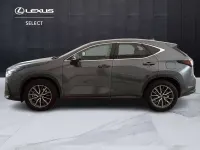 Usata Lexus NX450h+ 185 CV (136 kW) 2023 Grigio SUV