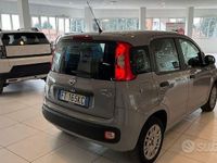 Usata Fiat Panda Easy 69 CV (50 kW) 2018 Grigio Utilitaria