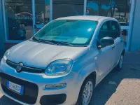 Usata Fiat Panda Easy 69 CV (50 kW) 2020 Grigio Utilitaria