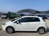 Usata Fiat Punto Lounge 75 CV (55 kW) 2013 Bianco Utilitaria