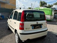 Usata Fiat Panda 69 CV (50 kW) 2009 Bianco Utilitaria