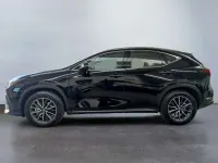 Usata Lexus NX300 Sport Line 309 CV (227 kW) 2024 Nero SUV