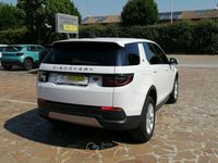 Usata Land Rover Discovery Sport S 163 CV (119 kW) 2021 Bianco SUV